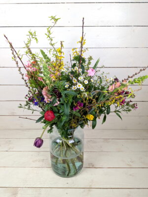 Kweeklokaal plukboeket Dirk XL