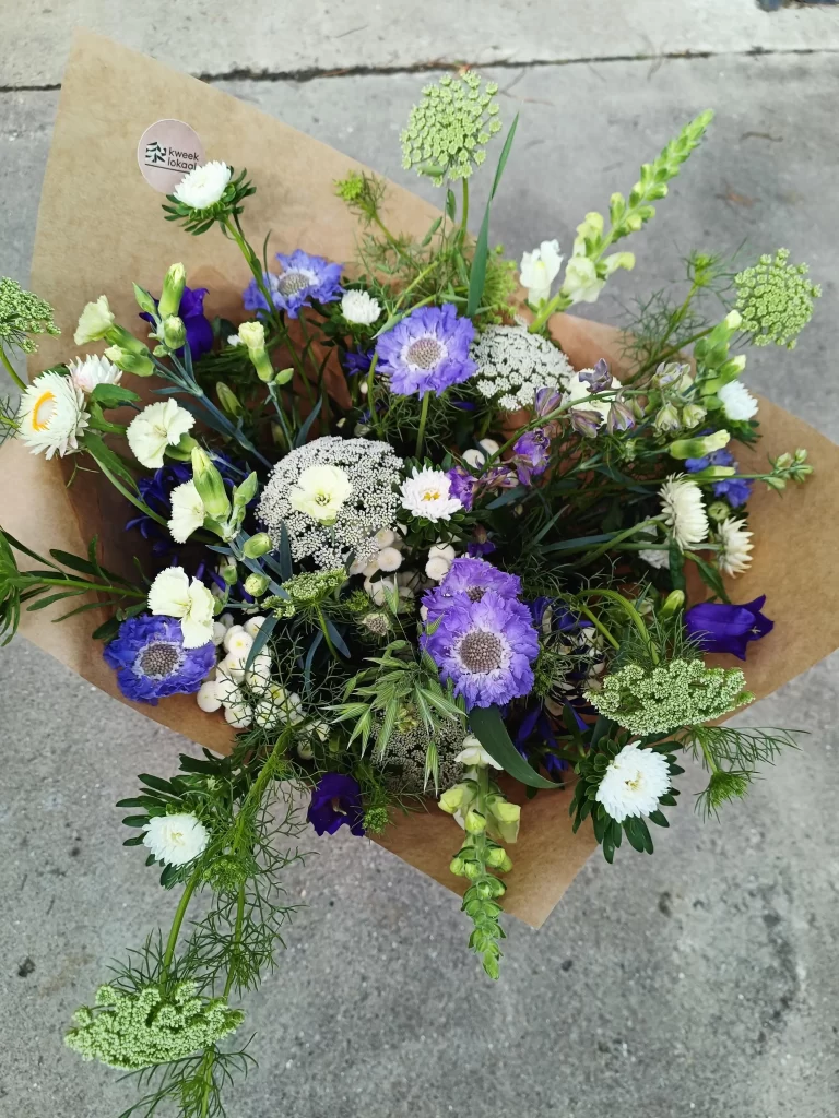 Plukboeket Kweeklokaal