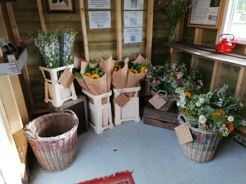 Kweek lokaal bloemenstal van binnen