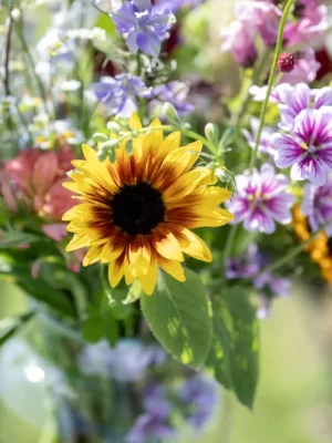 Kweeklokaal Plukboeket groot 1
