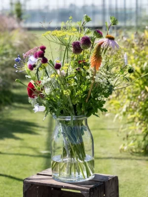 Kweeklokaal Plukboeket middel 3