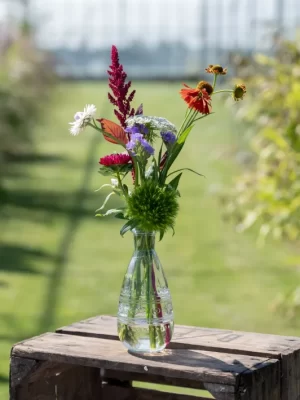 Kweeklokaal Plukboeket tafelvaasjes 3